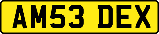 AM53DEX