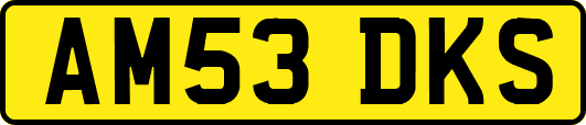 AM53DKS