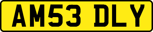 AM53DLY