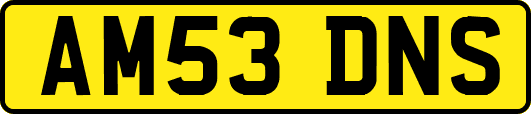 AM53DNS