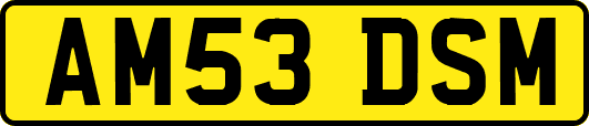 AM53DSM