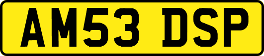 AM53DSP