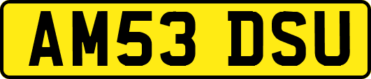 AM53DSU