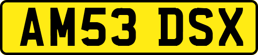 AM53DSX
