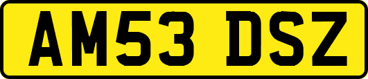 AM53DSZ
