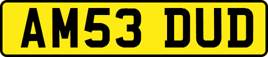 AM53DUD