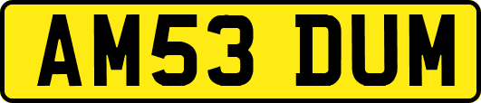 AM53DUM