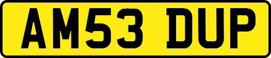 AM53DUP