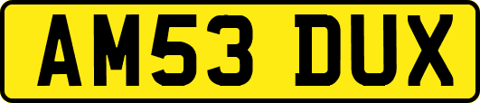 AM53DUX
