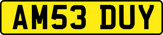 AM53DUY