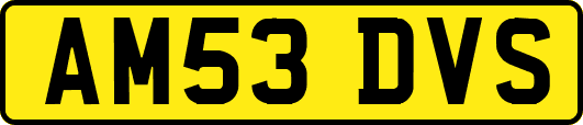 AM53DVS