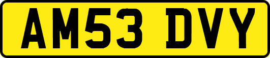 AM53DVY