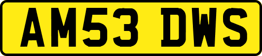 AM53DWS