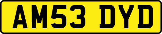 AM53DYD