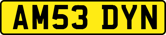 AM53DYN