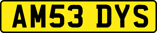 AM53DYS