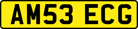AM53ECG