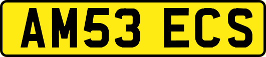 AM53ECS