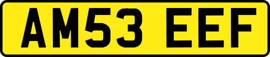 AM53EEF