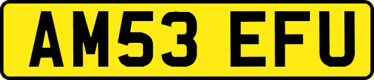AM53EFU