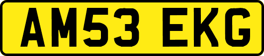 AM53EKG