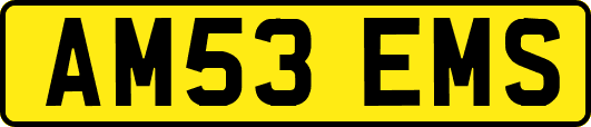 AM53EMS