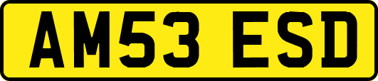 AM53ESD