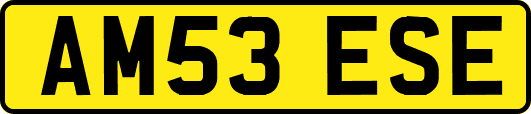 AM53ESE