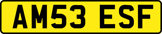 AM53ESF