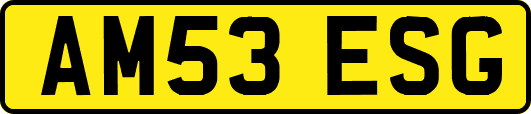 AM53ESG