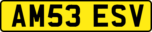 AM53ESV
