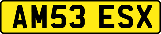 AM53ESX