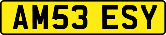 AM53ESY