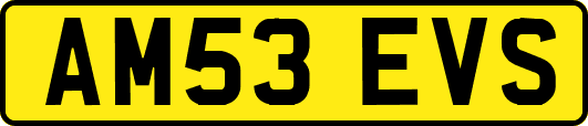 AM53EVS