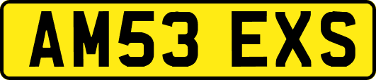 AM53EXS