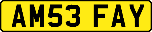 AM53FAY