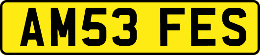 AM53FES