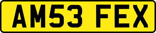 AM53FEX