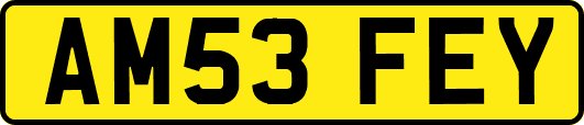 AM53FEY