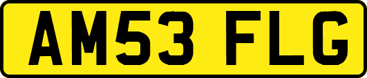 AM53FLG