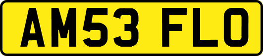 AM53FLO