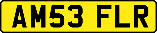 AM53FLR
