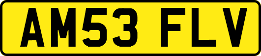 AM53FLV