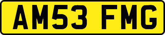 AM53FMG
