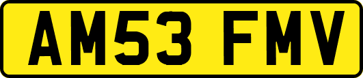 AM53FMV