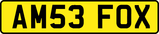 AM53FOX