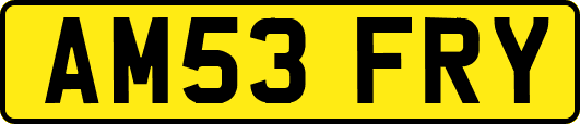 AM53FRY