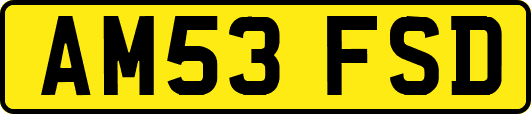 AM53FSD