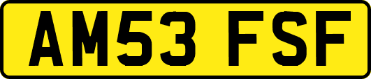 AM53FSF