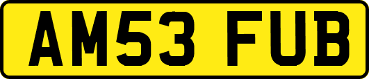 AM53FUB